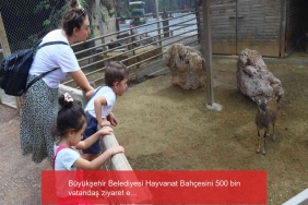 buyuksehir belediyesi hayvanat bahcesini 500 bin vatandas ziyaret etti RgqqbNHF