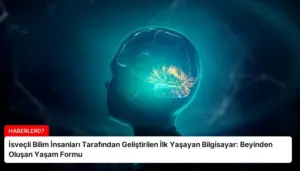İsveçli Bilim İnsanları Tarafından Geliştirilen İlk Yaşayan Bilgisayar: Beyinden Oluşan Yaşam Formu