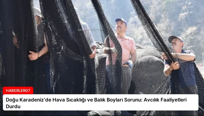 Doğu Karadeniz’de Hava Sıcaklığı ve Balık Boyları Sorunu: Avcılık Faaliyetleri Durdu