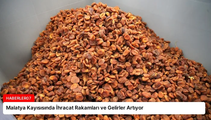 Malatya Kayısısında İhracat Rakamları ve Gelirler Artıyor