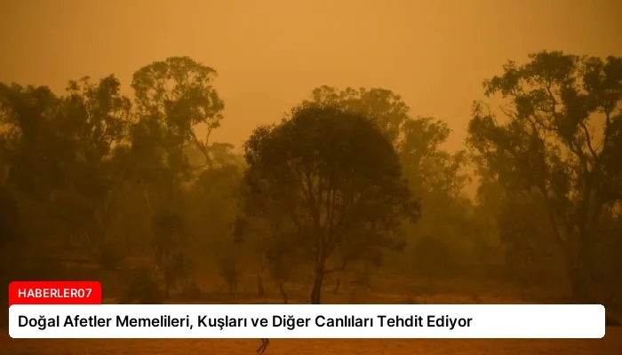 Doğal Afetler Memelileri, Kuşları ve Diğer Canlıları Tehdit Ediyor