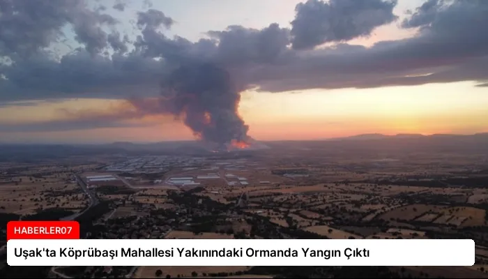 Uşak’ta Köprübaşı Mahallesi Yakınındaki Ormanda Yangın Çıktı