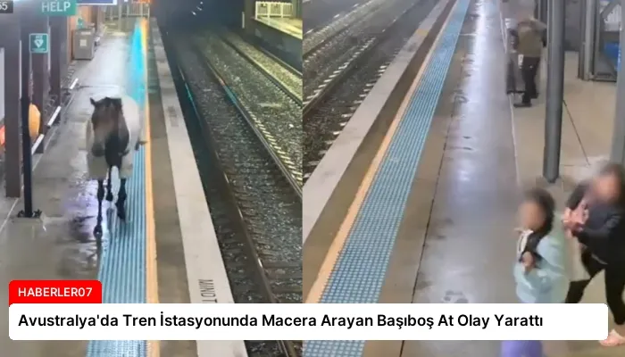 Avustralya’da Tren İstasyonunda Macera Arayan Başıboş At Olay Yarattı
