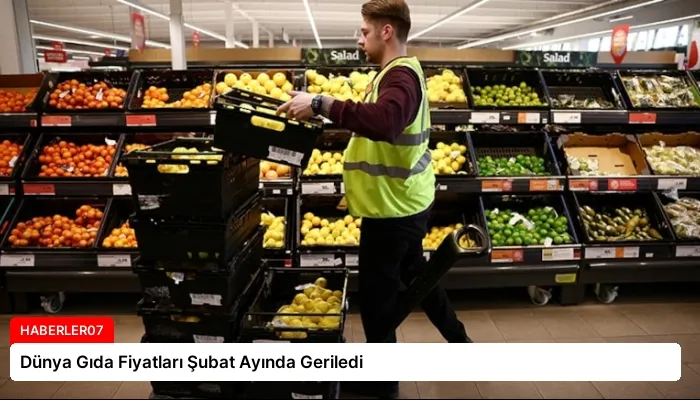 Dünya Gıda Fiyatları Şubat Ayında Geriledi