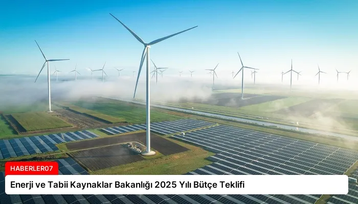 Enerji ve Tabii Kaynaklar Bakanlığı 2025 Yılı Bütçe Teklifi