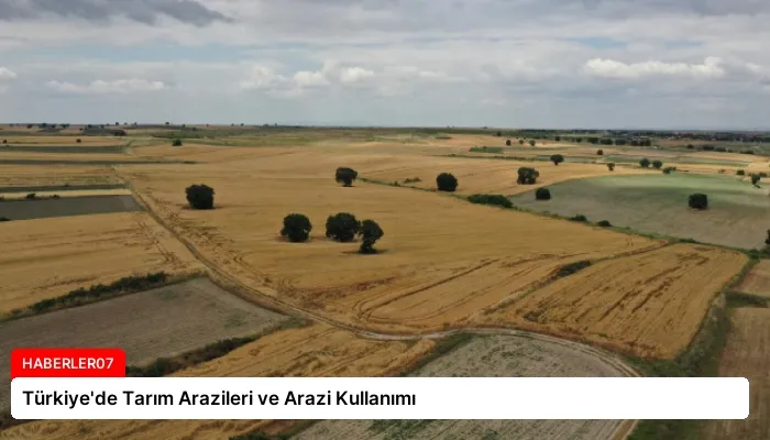 Türkiye’de Tarım Arazileri ve Arazi Kullanımı