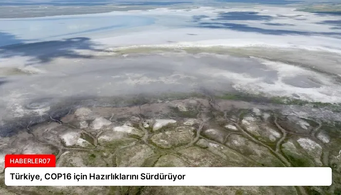 Türkiye, COP16 için Hazırlıklarını Sürdürüyor