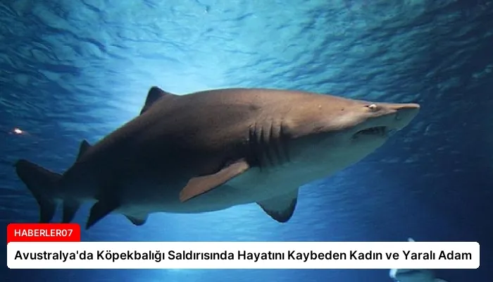 Avustralya’da Köpekbalığı Saldırısında Hayatını Kaybeden Kadın ve Yaralı Adam