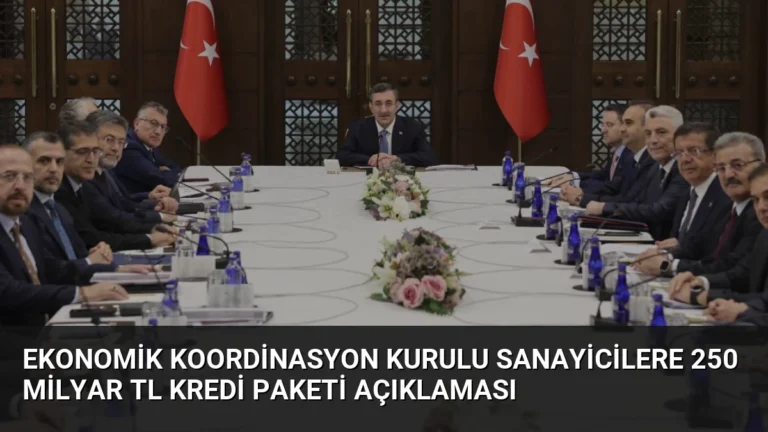 Ekonomik Koordinasyon Kurulu Sanayicilere 250 Milyar TL Kredi Paketi Açıklaması
