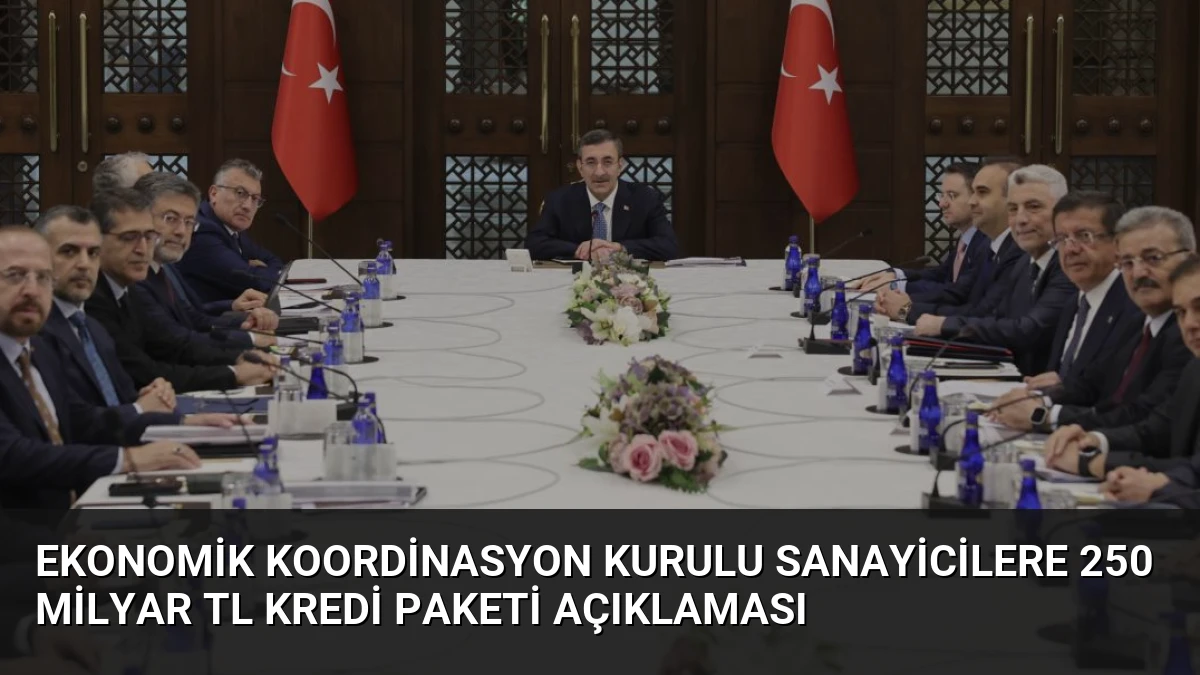 Ekonomik Koordinasyon Kurulu Sanayicilere 250 Milyar TL Kredi Paketi Açıklaması