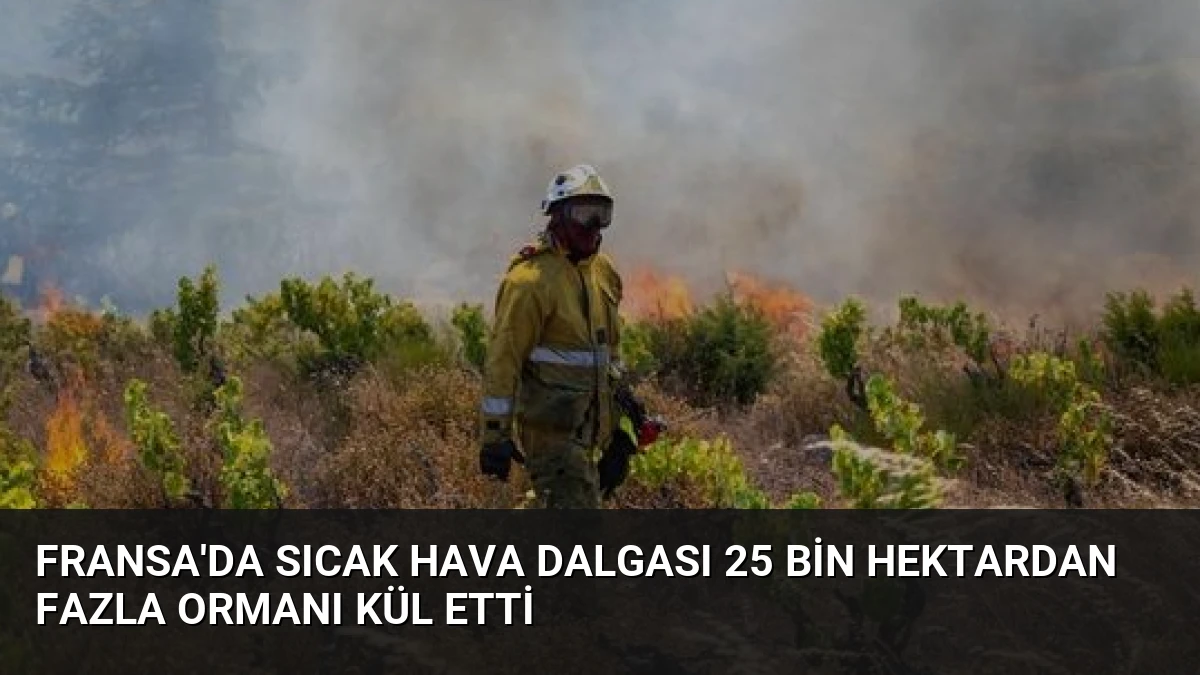 Fransa’da Sıcak Hava Dalgası 25 Bin Hektardan Fazla Ormanı Kül Etti