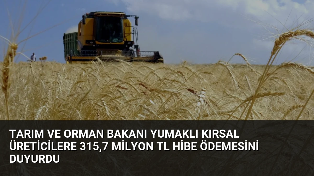 Tarım ve Orman Bakanı Yumaklı Kırsal Üreticilere 315,7 Milyon TL Hibe Ödemesini Duyurdu