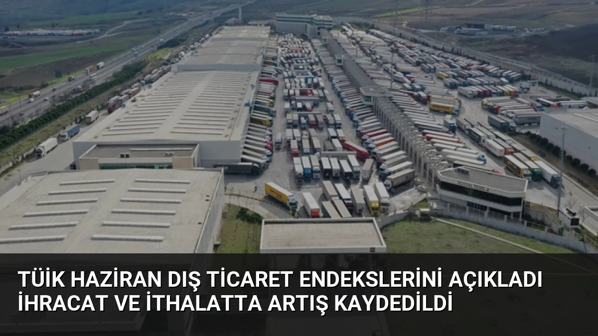 TÜİK Haziran Dış Ticaret Endekslerini Açıkladı İhracat ve İthalatta Artış Kaydedildi