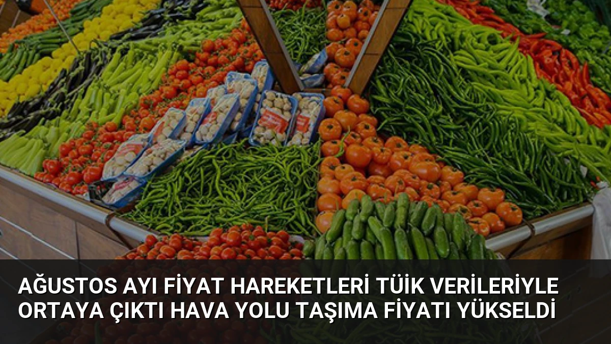 Ağustos Ayı Fiyat Hareketleri TÜİK Verileriyle Ortaya Çıktı Hava Yolu Taşıma Fiyatı Yükseldi