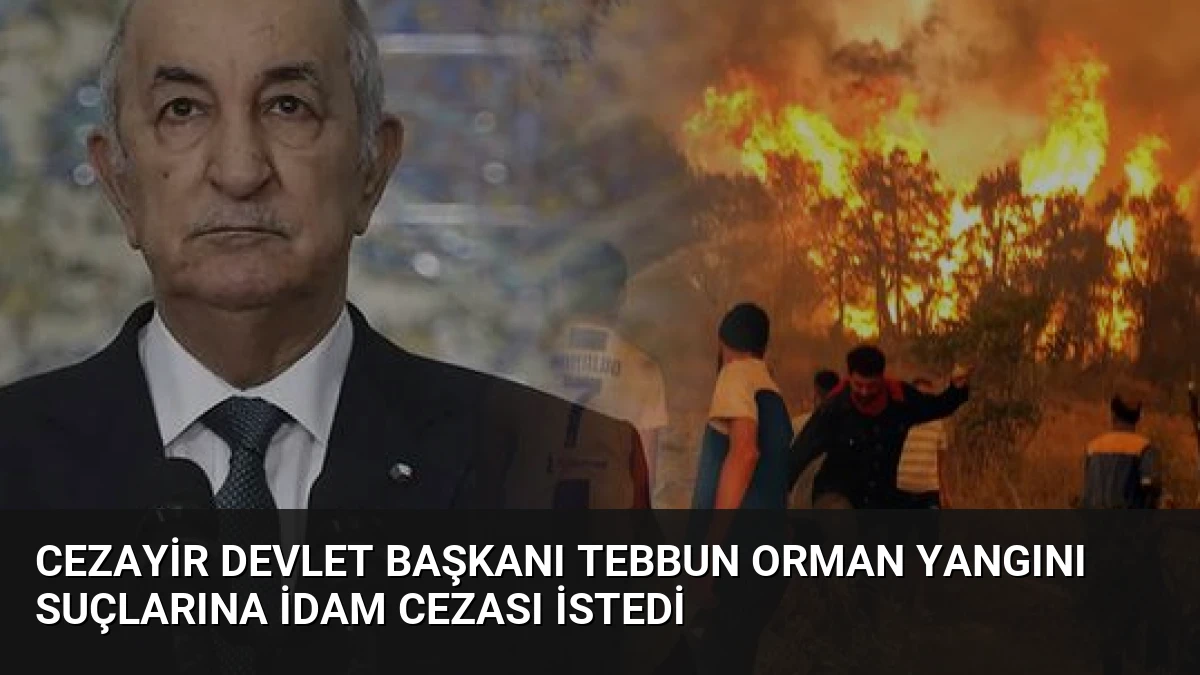 Cezayir Devlet Başkanı Tebbun Orman Yangını Suçlarına İdam Cezası İstedi