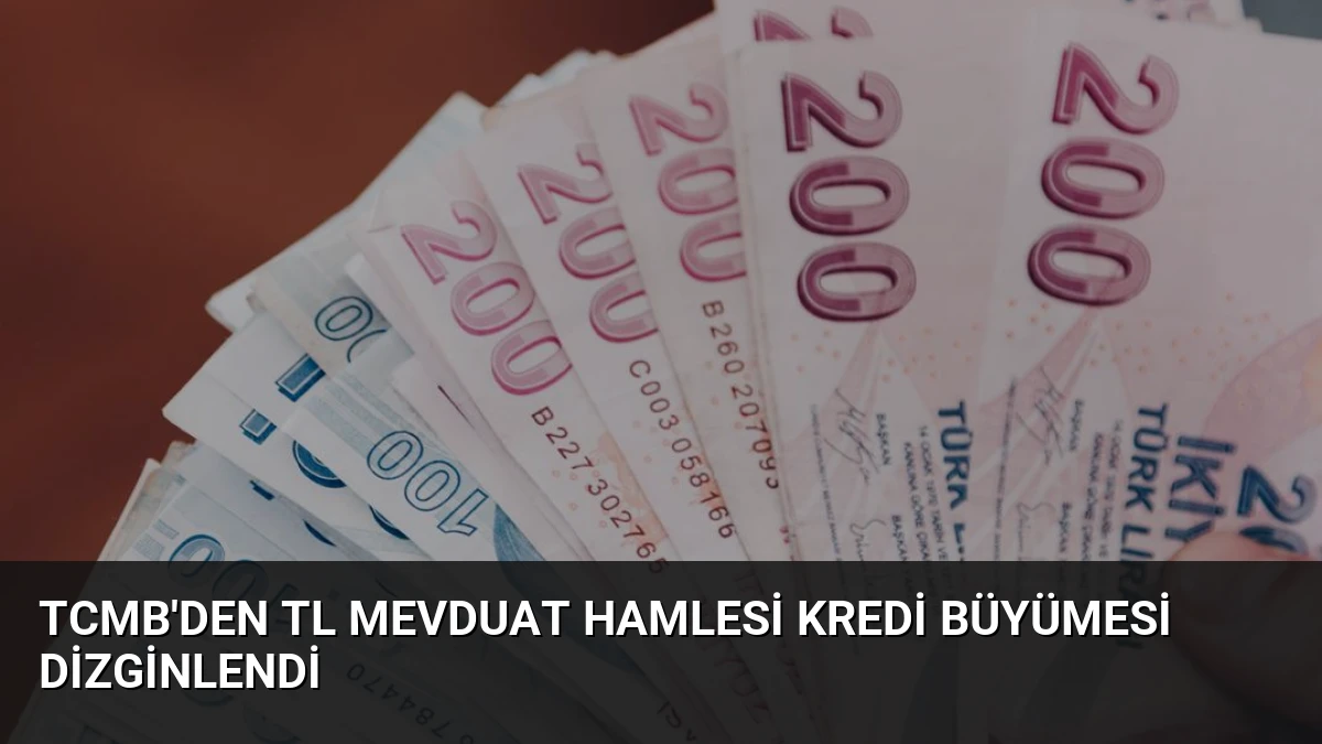 TCMB’den TL Mevduat Hamlesi Kredi Büyümesi Dizginlendi
