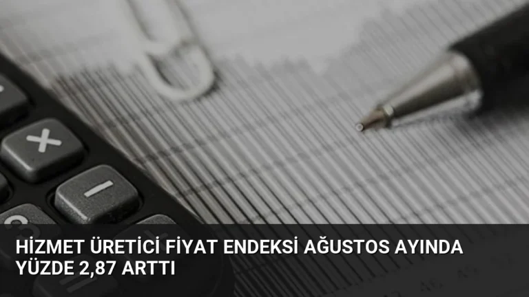 Hizmet Üretici Fiyat Endeksi Ağustos Ayında Yüzde 2,87 Arttı